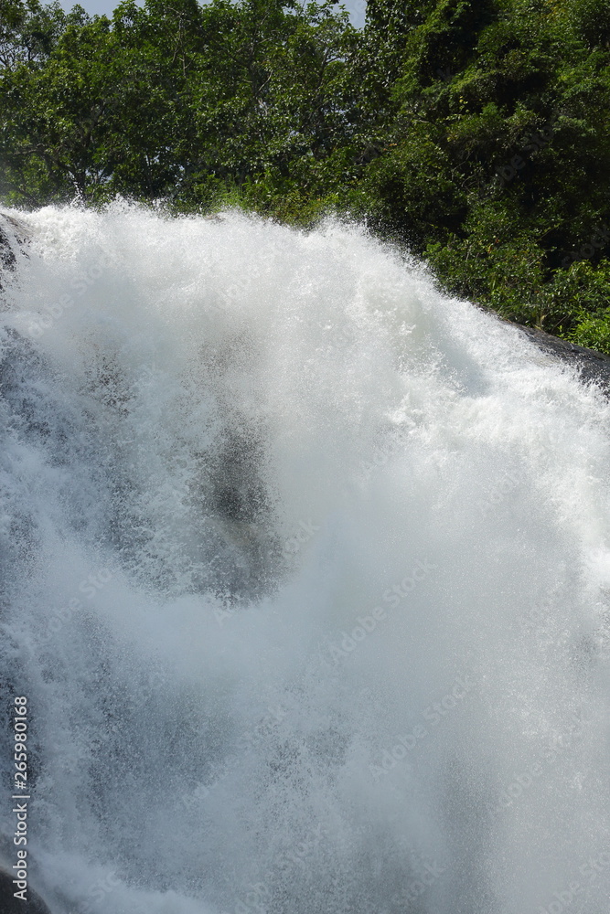 waterfall in nature forest, beautiful landscape waterfall in nature forest, beautiful landscape