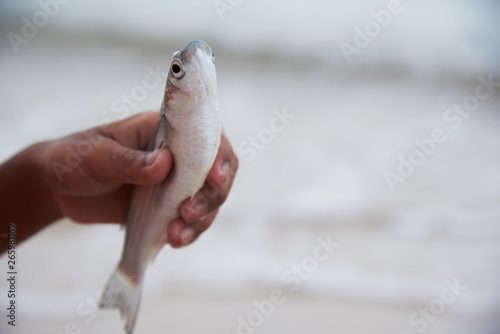 A yellow stripe trevally fish in the hand of fisherman