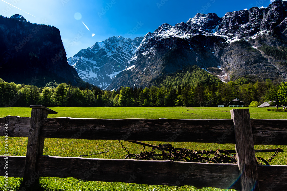 glade at the Koenigssee lake in the Alps, in Bavaria, view of the spring mountains, green trees and snow on the peaks