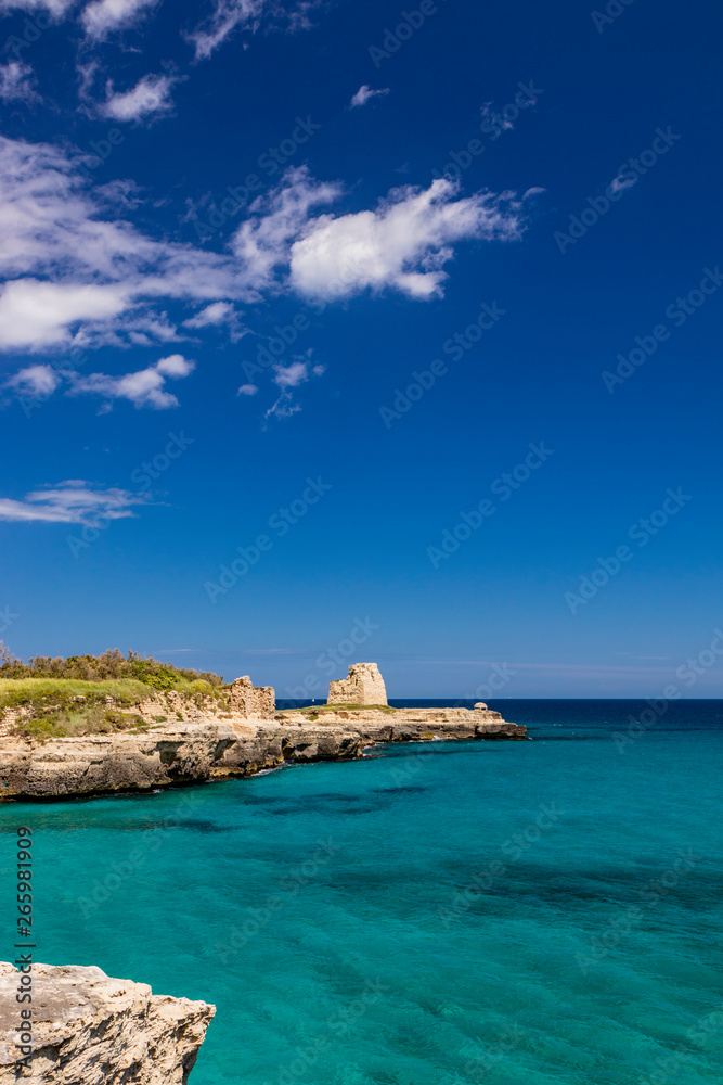 The important archaeological site and tourist resort of Roca Vecchia, Puglia, Salento, Italy. Turquoise sea, clear blue sky, rocks, sun, lush vegetation in summer. The sixteenth-century lookout tower