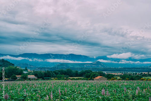 Beautiful valley road between forest hills in Alpes-de-Haute-Provence department in southeastern France. Neighborhoods of a medieval town Sisteron is situated at the Napoleon Route.