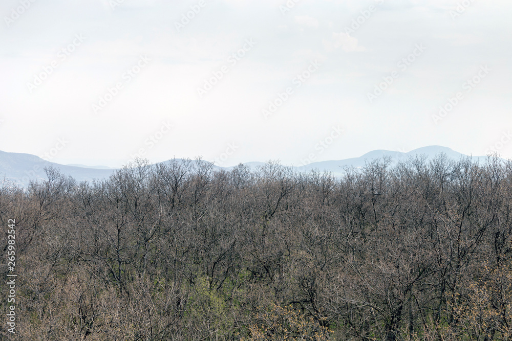 Pilis mountains in Hungary. Pilis mountains in Hungary.