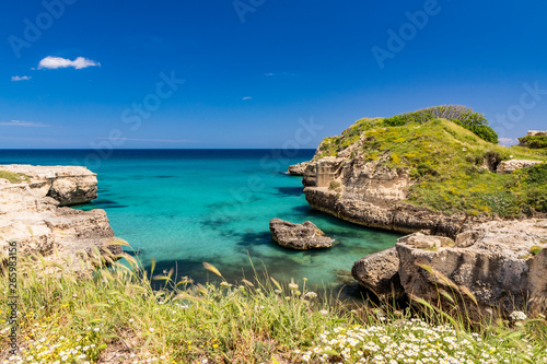 The important archaeological site and tourist resort of Roca Vecchia, in Puglia, Salento, Italy. Turquoise sea, clear blue sky, rocks, sun, in summer. Messapic Walls. Daisies in the foreground.
