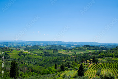 Beautiful landscape of vineyards. Chianti region in summer season. View of countryside and chianti vernaccia vineyards from San Gimignano. Tuscany  Italy  Europe. Summer  holiday  traveling concept.