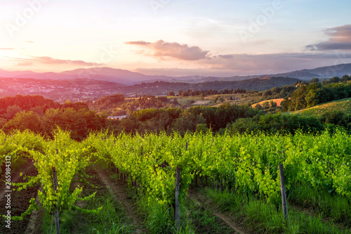 Tuscany landscape at sunrise. Typical for the region tuscan farm house  hills  vineyard. Italy.