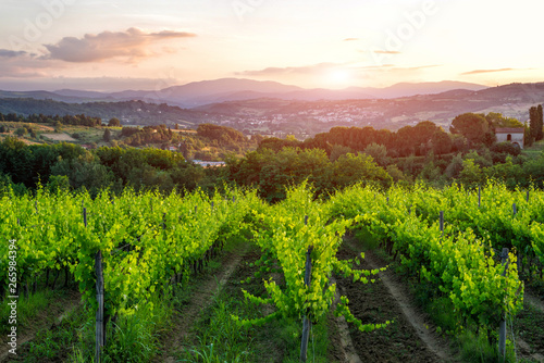 Scenic mountain landscape with vineyards growing on hills and old picturesque town in in Tuscanyl. Travel and wine-making background.