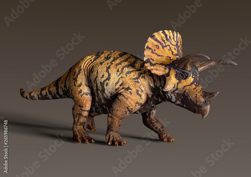3D Rendering Dinosaur Triceratops