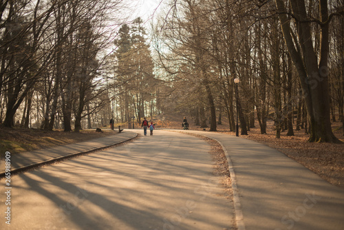 Walking up a road in a park. Early spring morning.