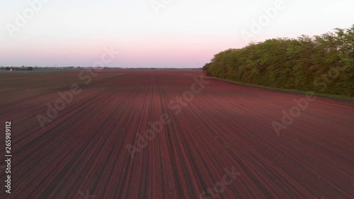 Footage from drone of field with fresh green plant