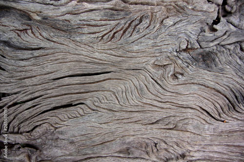 Old wooden for background or texture,Gray or black wood.Striped line wood.