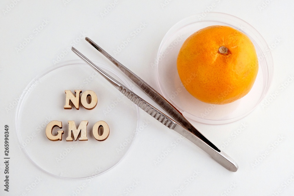 Wooden letters make up the phrase NO GMO and a ripe Mandarin with a tweezers. Laboratory testing of fruits. Against changes in the citrus gene. Wooden letters make up the phrase NO GMO and a ripe Mandarin with a tweezers. Laboratory testing of fruits. Against changes in the citrus gene.