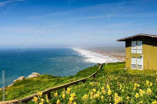 Waves crashing at Point Reyes National seashore with yellow lupine and a house as foreground in summer, California, USA