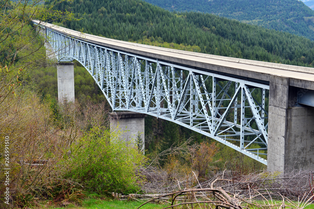 Elevated Bridge in the mountains through the forest in the Pacific Northwest USA