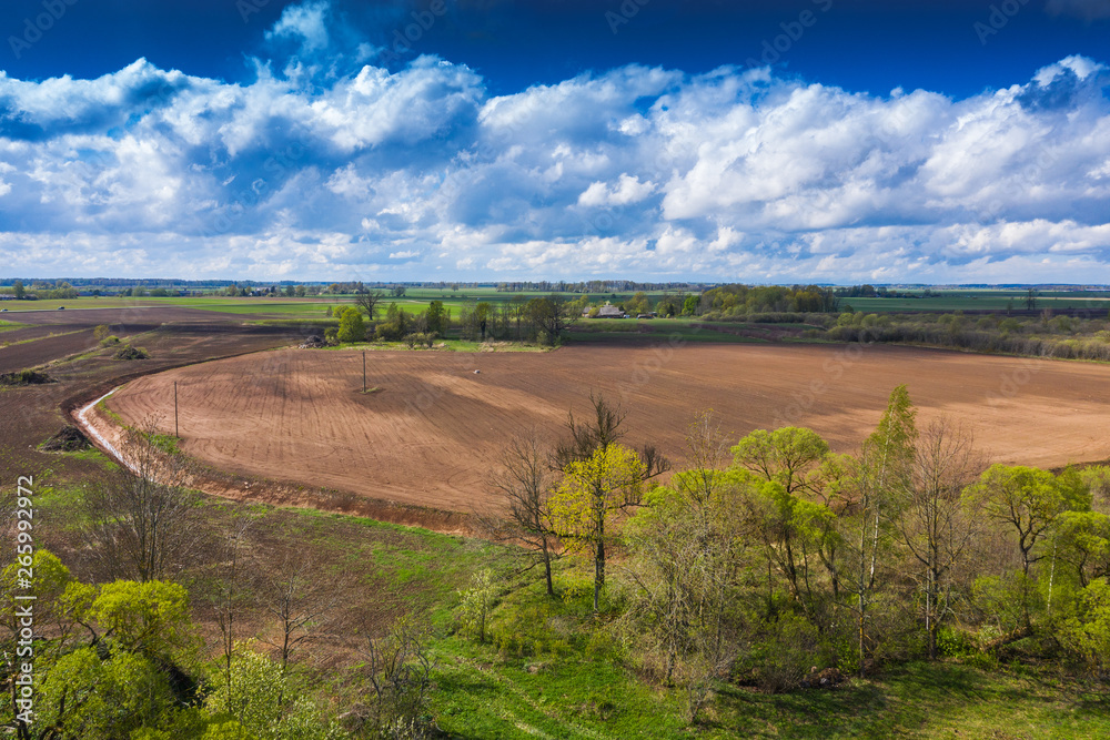 Fototapeta premium Agricultural landscape in nice spring afternoon.