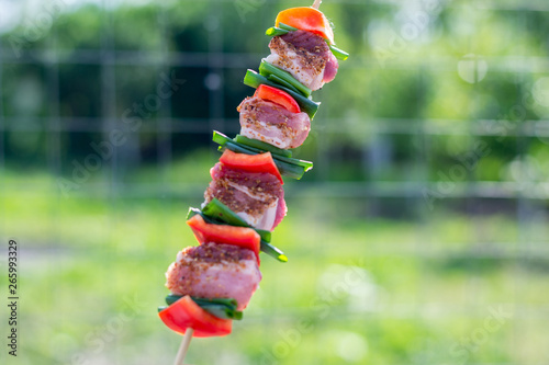 Close up pf delicious chicken breast on wooden skew with fresh vegetables, garlic, paprika fried on mangal barbeque grill and smoke