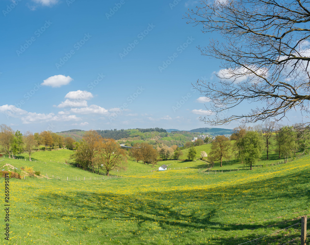Fototapeta premium Frühlingslandschaft im Sauerland