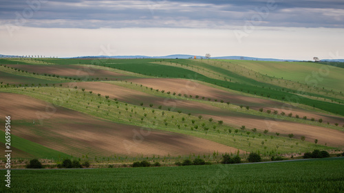 Scenic view of green and brown fields in beautiful wavy countryside.