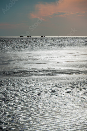 Horse carriage ride on the wadden sea, Sunset on the beach