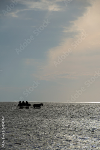 Horse carriage ride on the wadden sea, Sunset on the beach