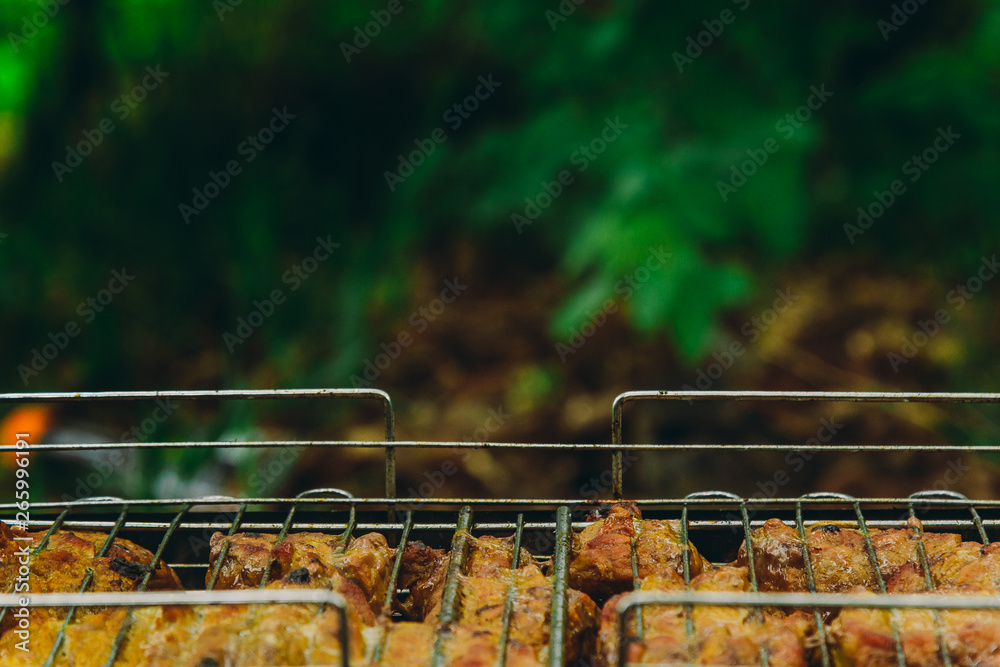 cubes of pickled meat in a grill grate at brazier. barbecue kebab on embers outdors. grilled picnic in nature. side view close up a background of green trees