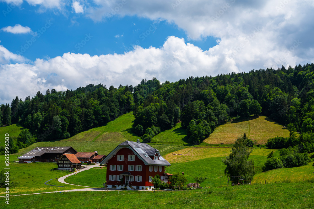 Colorful view of idyllic mountain scenery in the Alps with fresh green meadows on a beautiful day in summer. The UNESCO Biosphere reserve Entlebuch is the perfect slow-down hotspot near Lucerne.