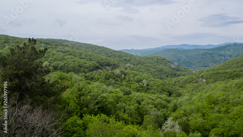 Beautiful Caucasian mountain landscape,, forest trees , South Russia.