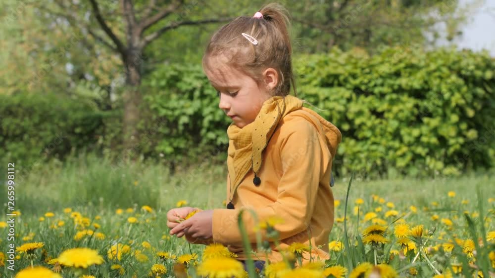Little child girl weaving wreath of yellow dandelion flowers on green grass in a park in Poland Wroclaw