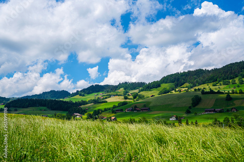 Billede på lærred Colorful view of idyllic mountain scenery in the Alps with fresh green meadows on a beautiful day in summer