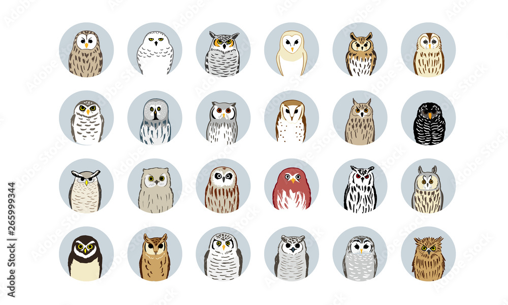 24 フクロウイラスト 24 Owl Icons Stock Vector Adobe Stock