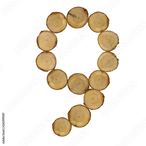 font of number 9 wooden stumps, white background isolated