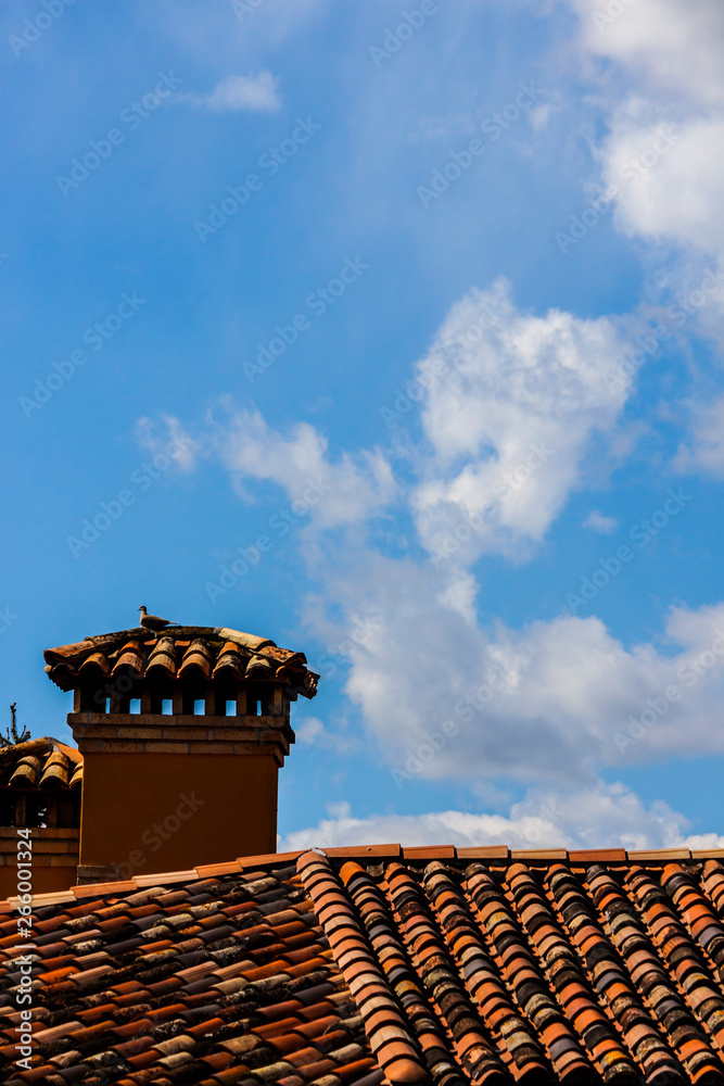 Naklejka premium Roof with chimneys under a blue sky