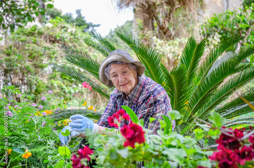 Elderly woman in bucket hat talking to plants in her garden