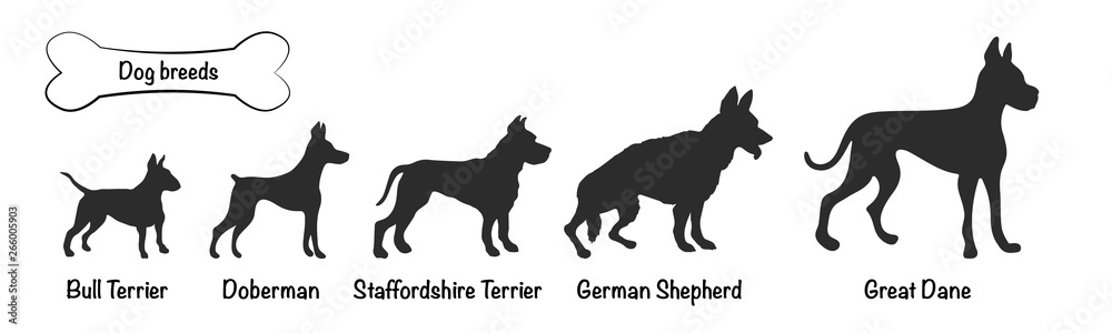 Vector silhouettes of 5 dog breeds on white background. Isolated icons of terriers, shepherd, doberman, great dane