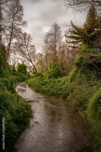 Rio en la Region de la Araucania