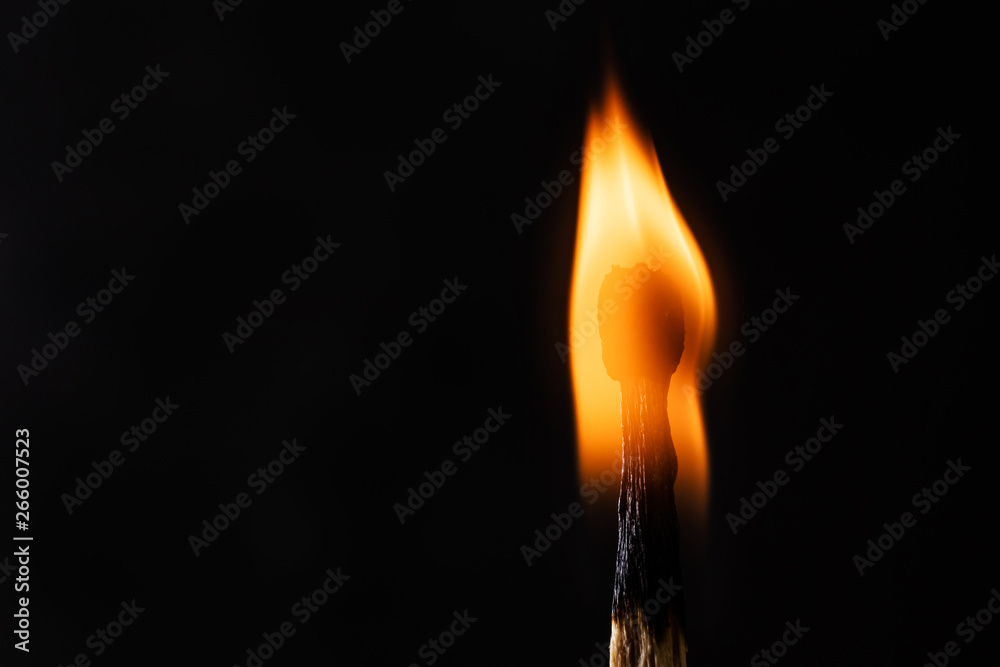 Burning match close-up on a dark background. Fire in the dark, light in a philosophical concept. Macro photo. Copy space. Burning match close-up on a dark background. Fire in the dark, light in a philosophical concept. Macro photo. Copy space.