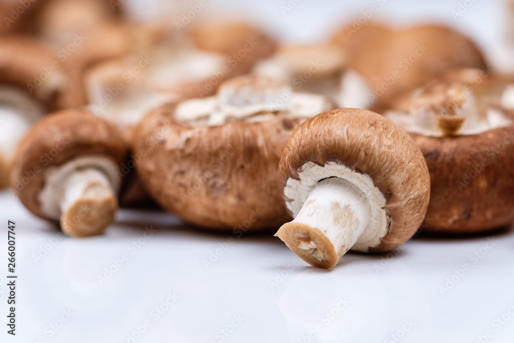 Brauner Champignon (Agaricus bisporus var. hortensis) Brauner Champignon (Agaricus bisporus var. hortensis)