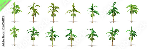3D rendering - 14 in 1 collection of banana trees isolated over a white background use for natural poster or wallpaper design, 3D illustration Design.