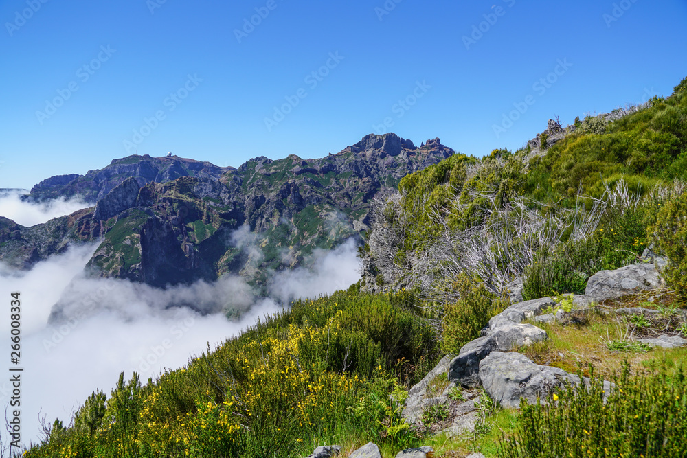 Landscape at Pico de Ruivo in Madeira island in a beautiful sunny day Landscape at Pico de Ruivo in Madeira island in a beautiful sunny day