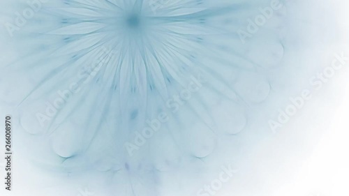 Abstract fractal forms morph and oscillate (Loop)