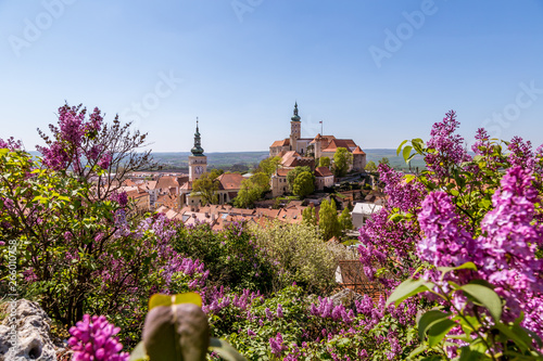 Flowering spring town of Mikulov