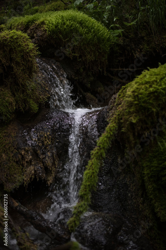 waterfall in forest