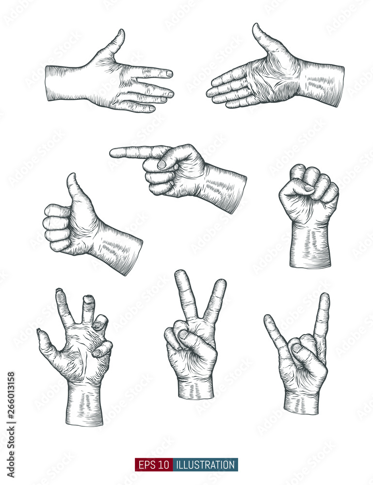 Obraz premium Hand drawn hands gestures set. Isolated icons. Elements for your design works. Engraved style vector illustration.