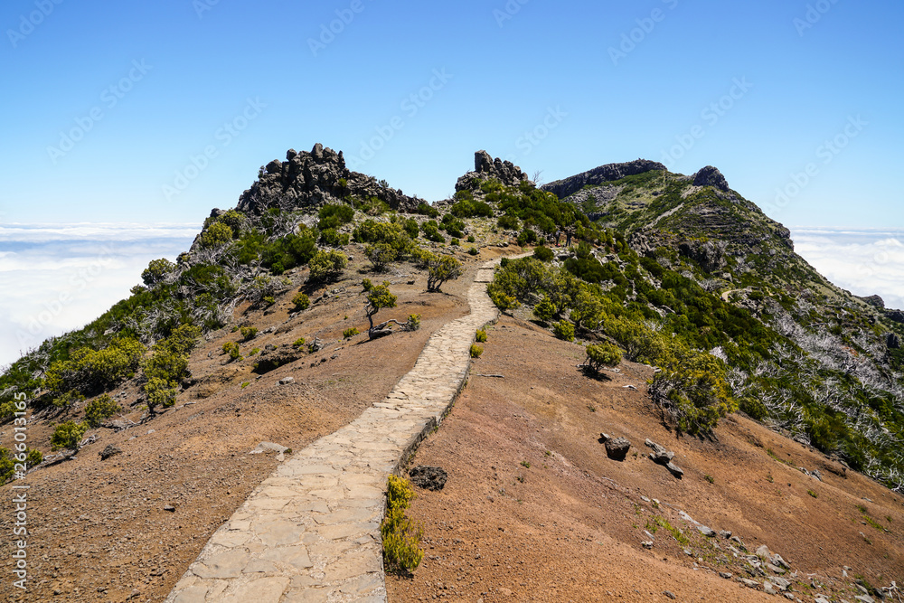 Obraz premium Landscape at Pico de Ruivo in Madeira island in a beautiful sunny day