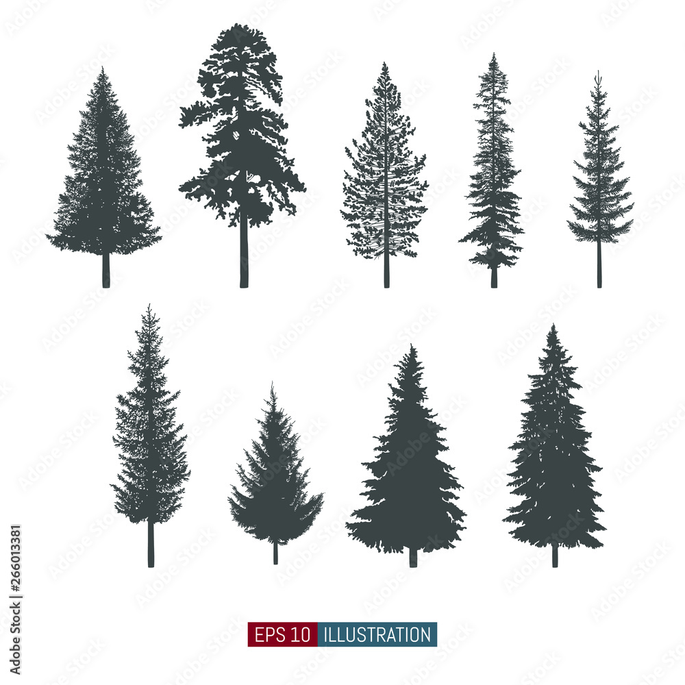 Coniferous Tree Isolated Silhouettes Set Pine Tree And Fir Tree Flat Icons Elements For Your Design Works Vector Illustration Stock ベクター Adobe Stock