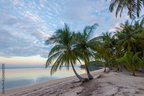 Tropical beach wonderful bintan Indonesia