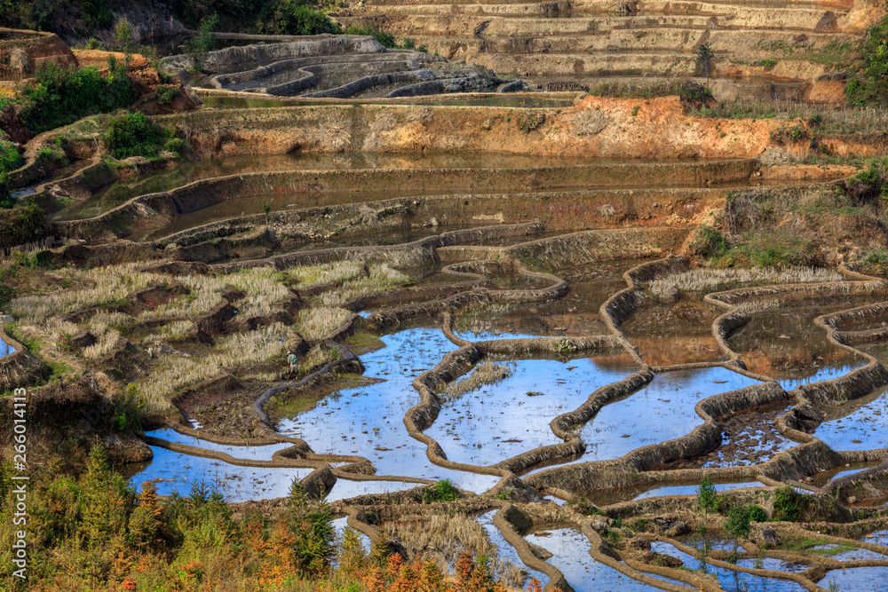Samaba Rice Terrace Fields in Honghe County - Baohua township, Yunnan Province China. Sama Dam Multi-Color Terraces - grass, mud construction layered terraces filled with water, blue sky reflection