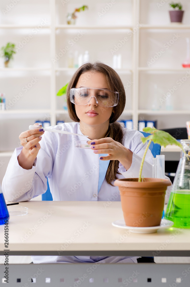 Young beautiful biotechnology chemist working in the lab Young beautiful biotechnology chemist working in the lab