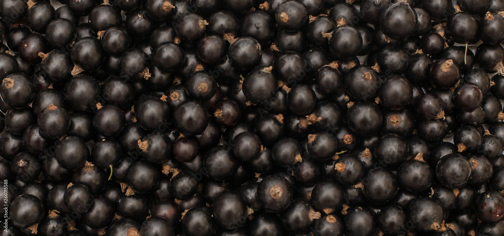 Wide Angle Background from fresh black currant berries