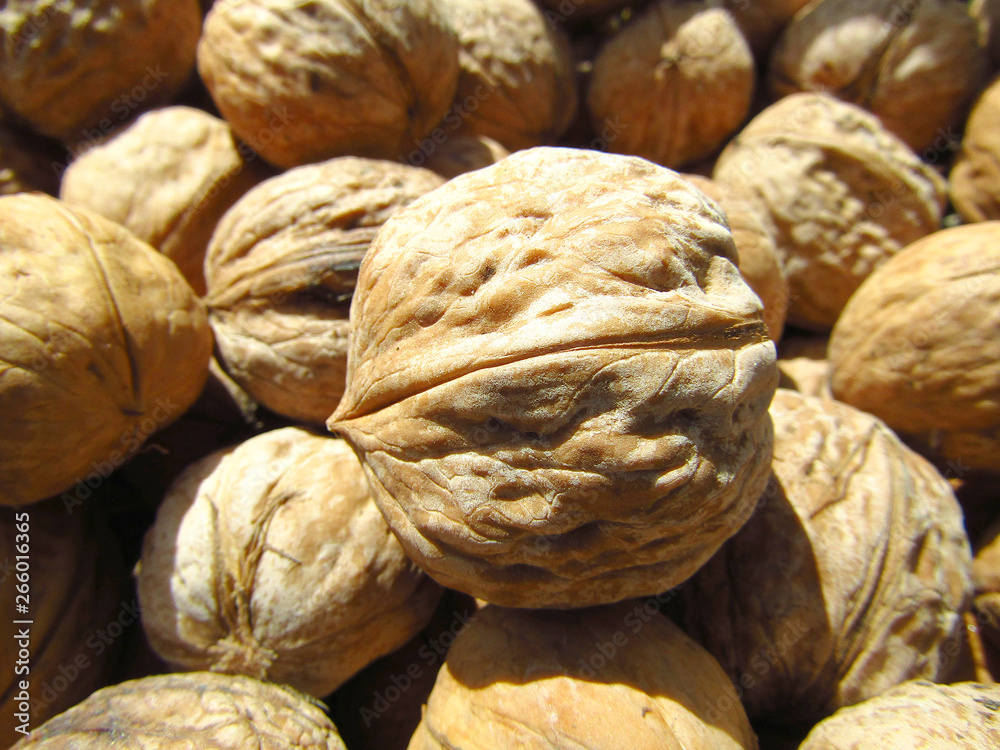 Walnut, nut or seed of the Juglans regia tree. Macro. Close-up. Walnut, nut or seed of the Juglans regia tree. Macro. Close-up.