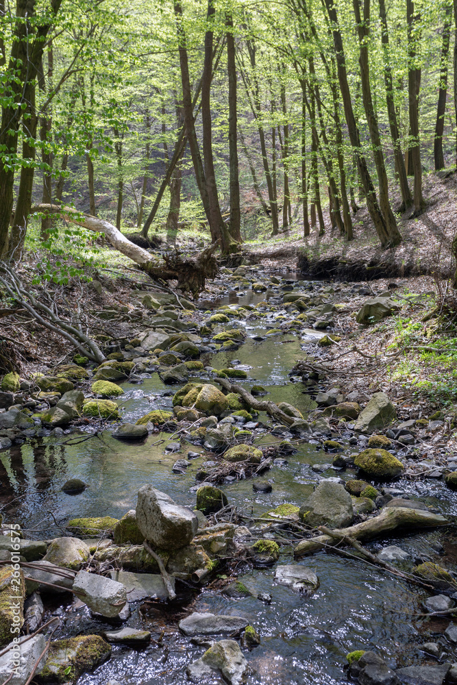 Small creek in the Pilis Small creek in the Pilis